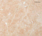 Roso Alicante Exfoliated Natural Stone